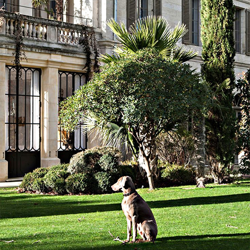 Découvrez notre maison d'hôtes au centre d'Avignon au travers de l'article de Travel Extra - charme, Spa et détente tout en admirant le Palais des Papes.